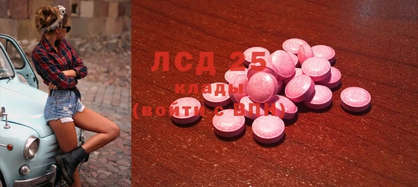 ПСИЛОЦИБИНОВЫЕ ГРИБЫ Алзамай