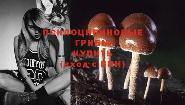 apvp Алексин
