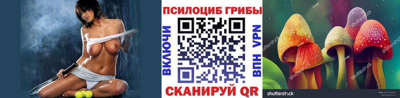 Галлюциногенные грибы GOLDEN TEACHER купить наркотики сайты Ставрополь