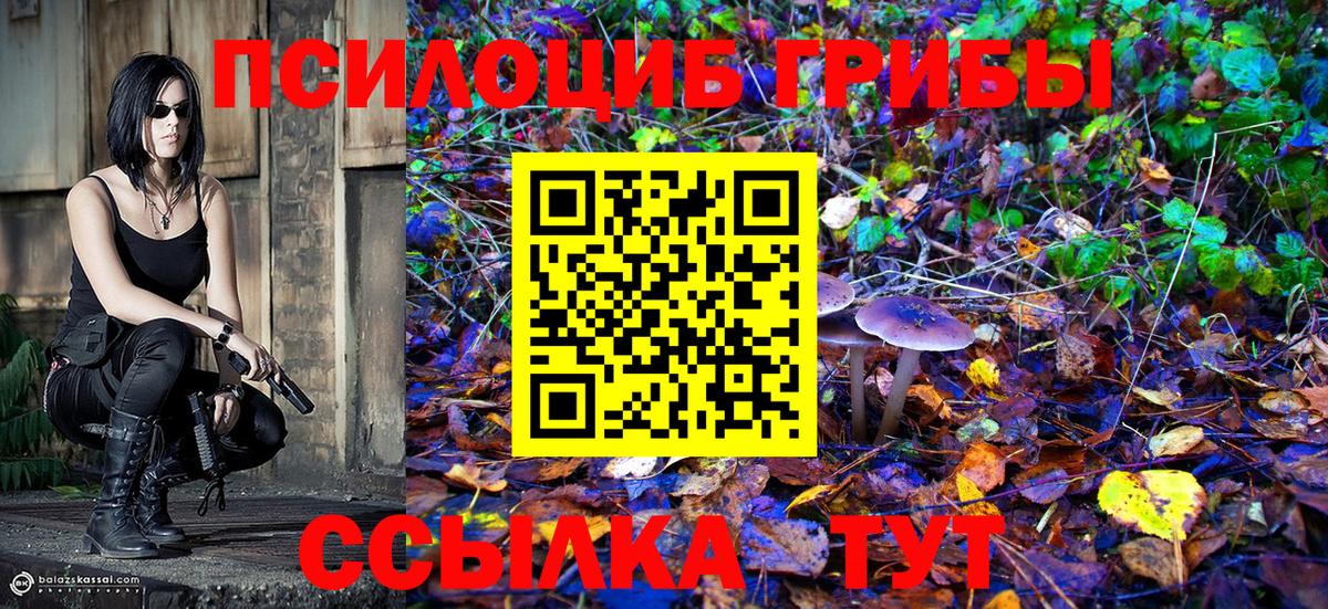 Ставрополь  Галлюциногенные грибы Psilocybine cubensis  Вход с VPN  Псилоцибиновые грибы прущие грибы 