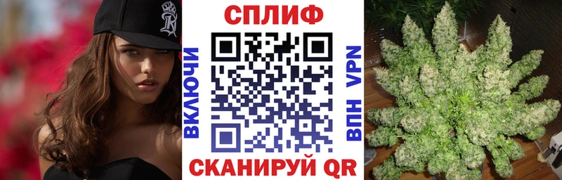 купить наркоту  Ставрополь  Конопля Bruce Banner 