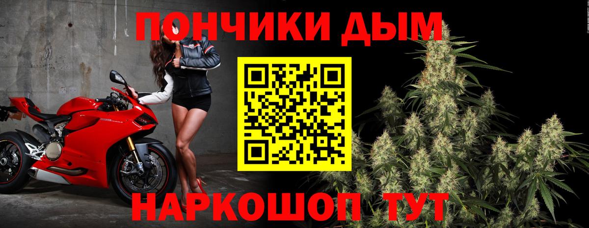 Конопля конопля Ставрополь